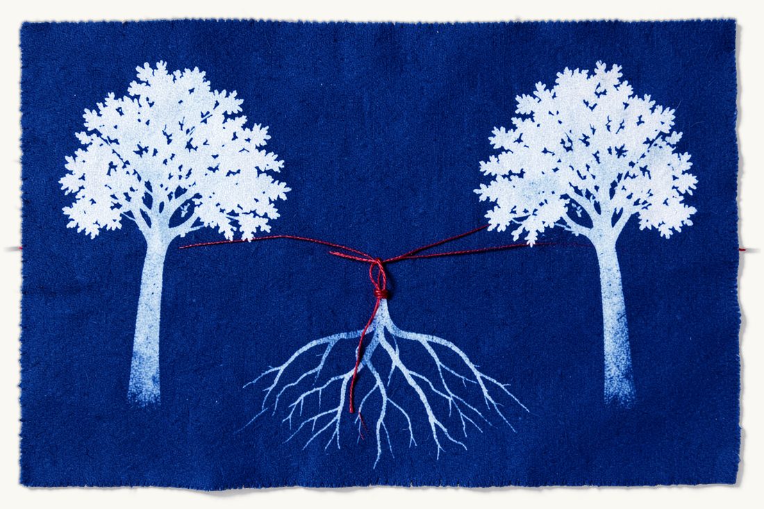 Holding US and Turkish dual citizenship: two identical leafy trees standing apart, their roots meeting in the middle where a red thread wraps around them, cyanotype print