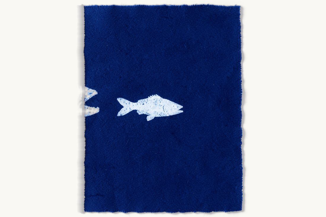 Merger control thresholds in Türkiye: a large fish with its mouth wide open behind a small fish, the two held apart by a straight vertical red thread, cyanotype print