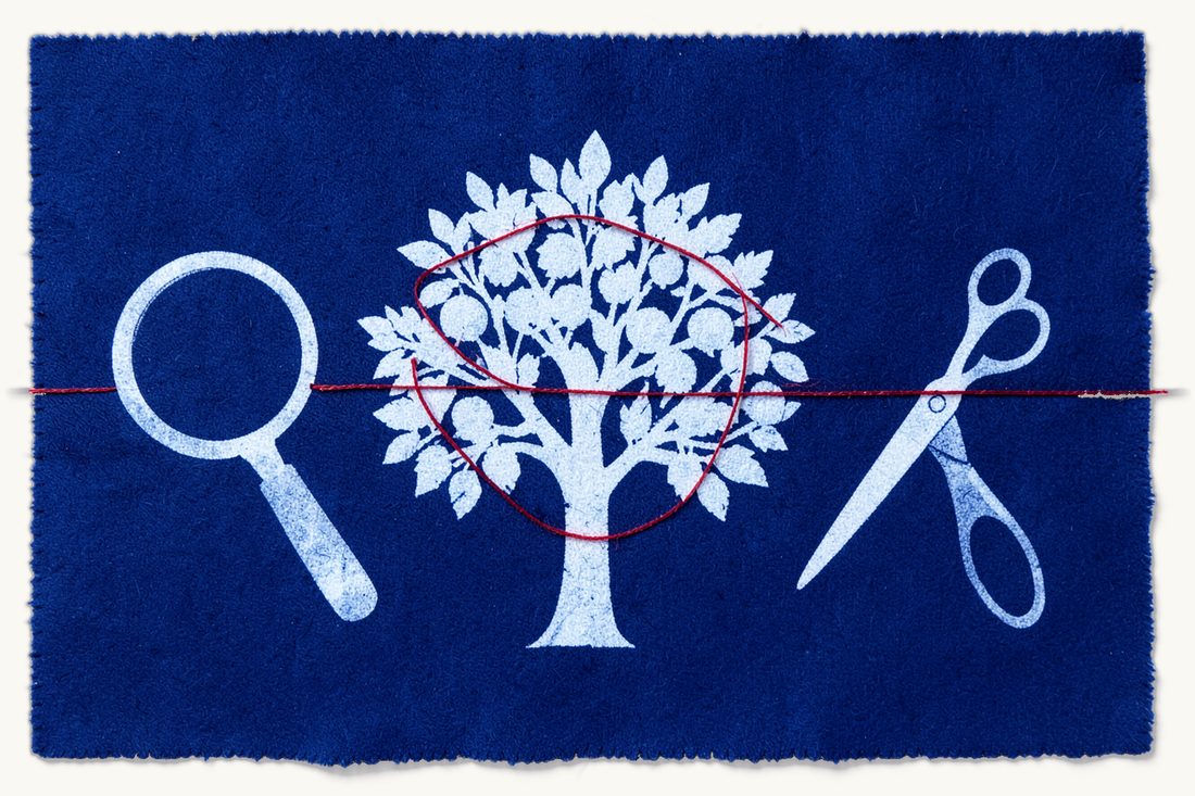 Using, supervising and cancelling a registered geographical indication: a leafy tree ringed by red thread, a magnifying glass on one side and open scissors on the other, cyanotype print