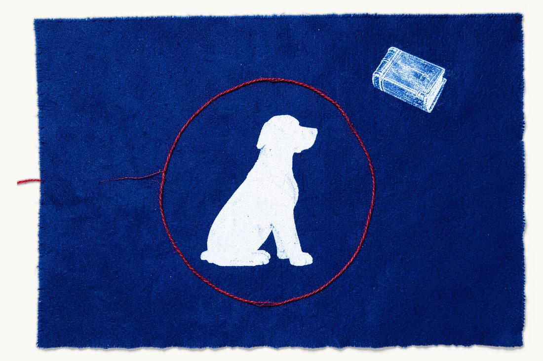 Animal protection law in Türkiye: a seated dog in profile inside a loose circle drawn by a red thread, a small antique book at the upper right, cyanotype print