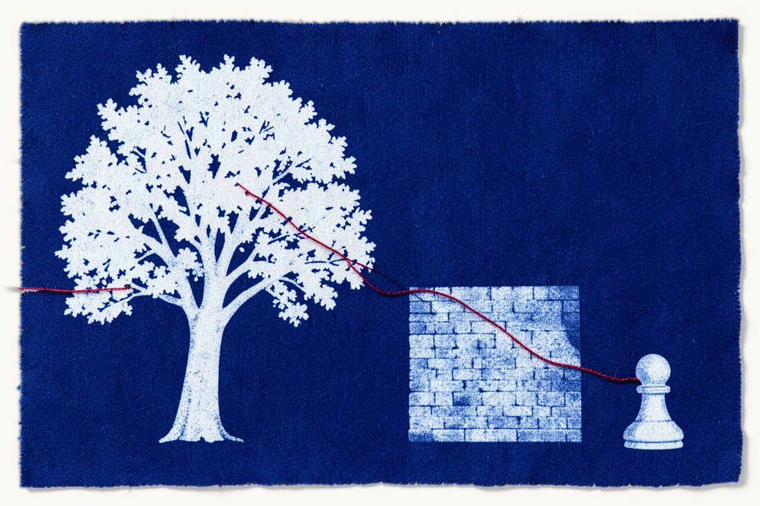 Family visits to a relative in prison in Türkiye: a large leafy tree with a red thread running from its branch over a tall plain wall to a small pawn, cyanotype print