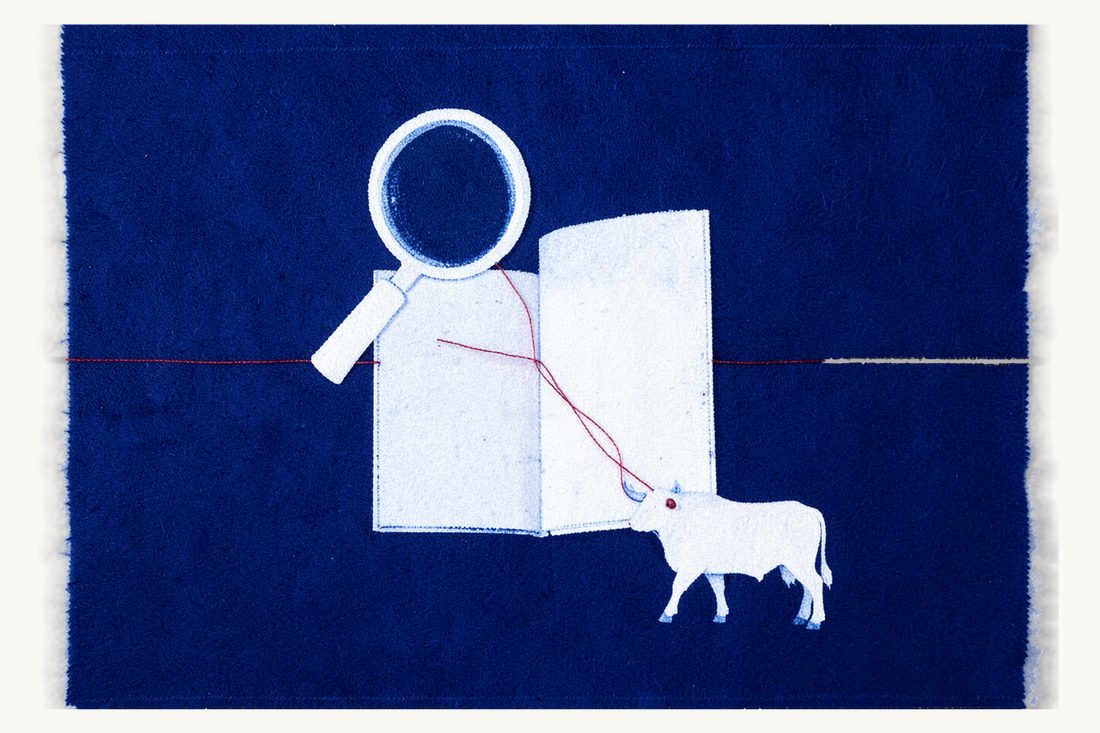 Securities offerings and the prospectus: a large magnifying glass over a blank open booklet, tied by a red thread to a small bull, cyanotype print