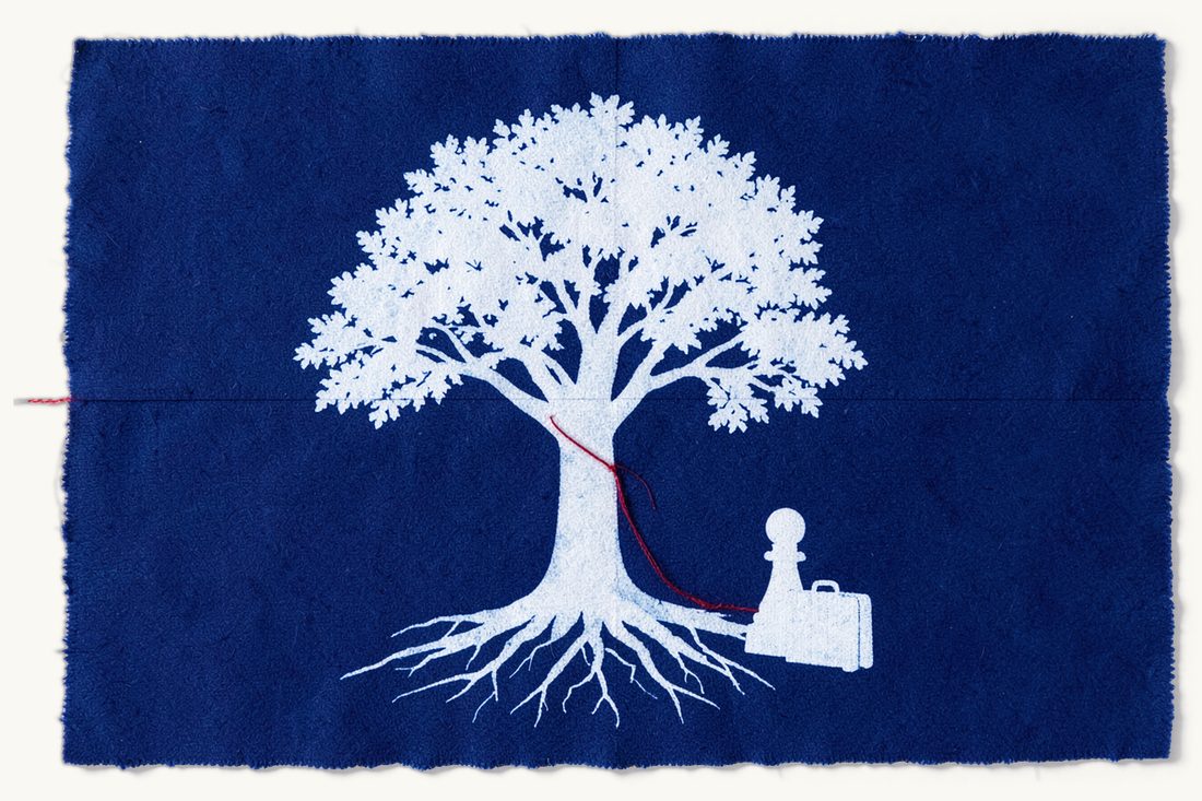 Turkish inheritance for foreign heirs: a large leafy tree with spreading roots, the red thread running from its trunk to a small pawn beside a suitcase, cyanotype print